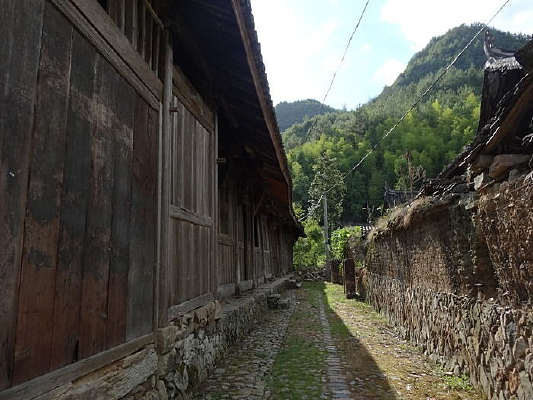 ���ϵ�ľͷ����