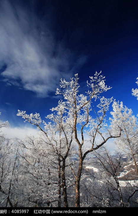 ��ڡ����ͼƬ