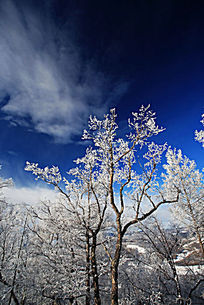 ��ڡ����