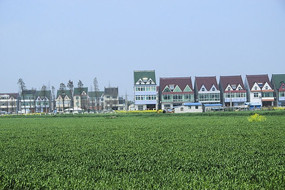 �������Ұ