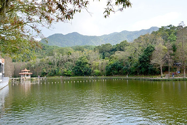 �����ɺ�ֲ��԰�뷨��