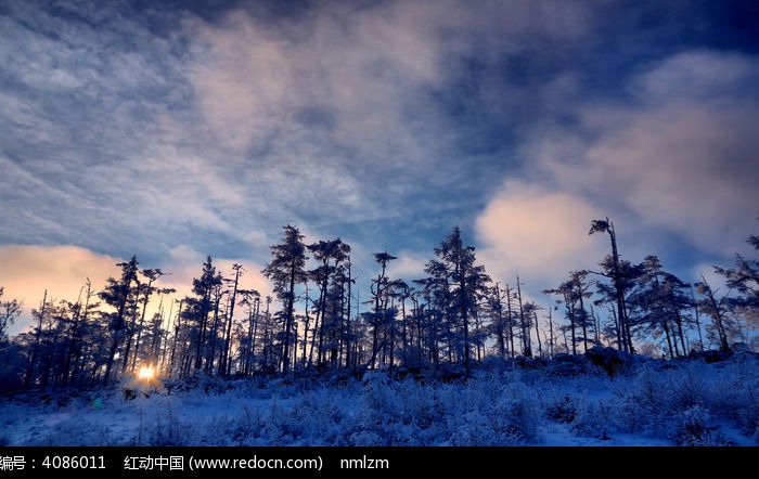 ѩ�ֲ��Ʒ�ͼƬ