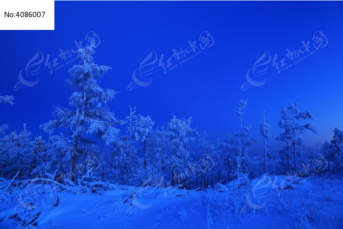 ҹ���µ�ѩ��ͼƬ