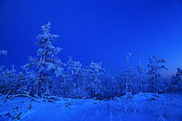 ҹ���µ�ѩ��