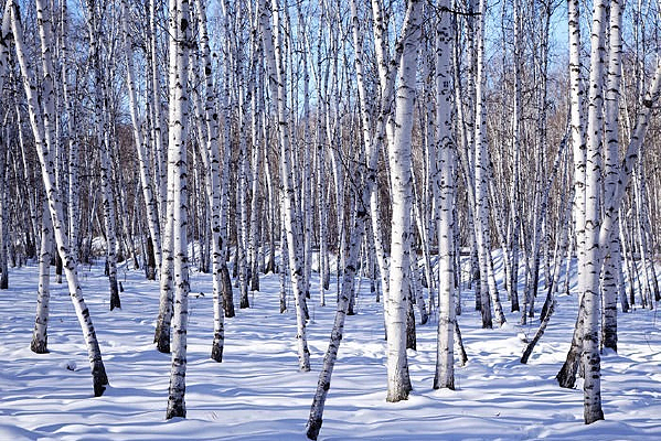 ��֮������