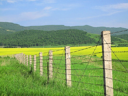 �߾�����Ұ