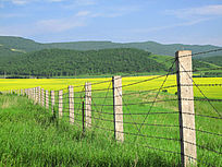 �߾�����Ұ