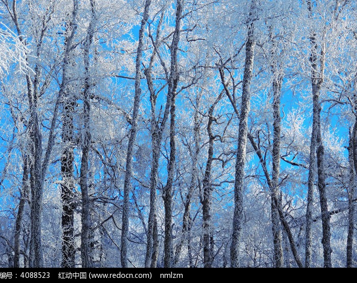 ��ѩ���ַ羰ͼƬ