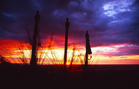 ���������ɽ����