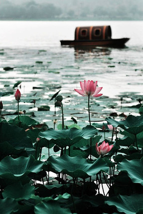 ���ں�����