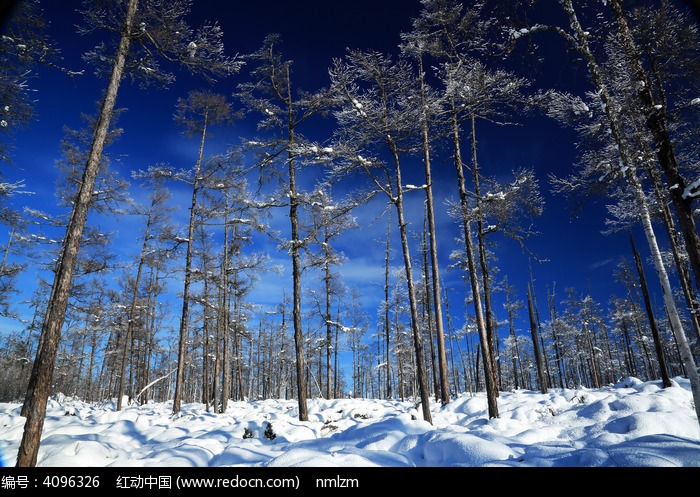 ���˰��붬��ɭ��ѩ��ͼƬ