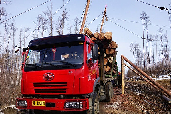 ���Ϳ���