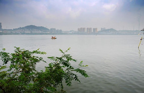 ���Ϲ���