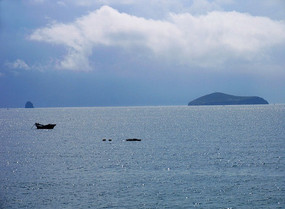 ����С��