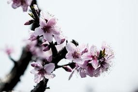 �����һ�