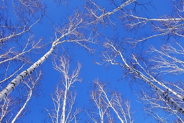 �����µĿյ�