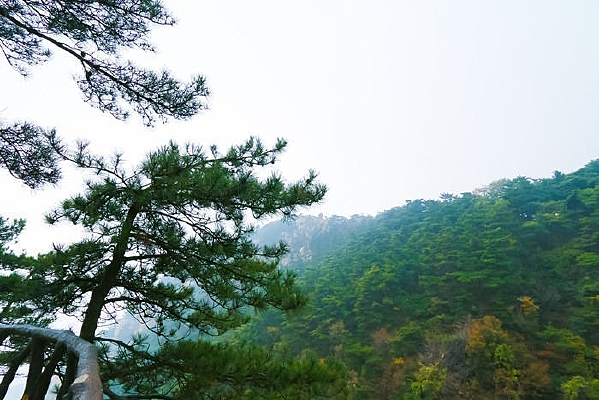 ������ɽ