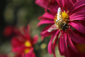 �۷��ڻ��в���