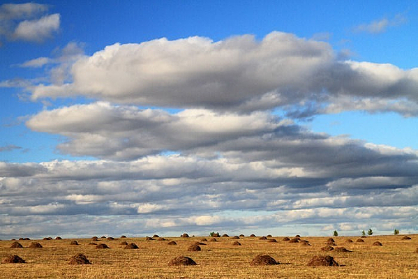 ���ױ�����ԭ�ﾰ