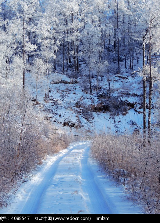 ɽ�ֱ�ѩ��·ͼƬ