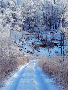 ɽ�ֱ�ѩ��·