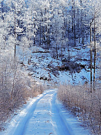 ɽ�ֱ�ѩ��·