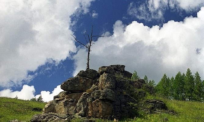 ɽ���Ϲ¶���