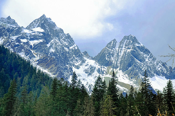 �Ĺ���ɽѩ��