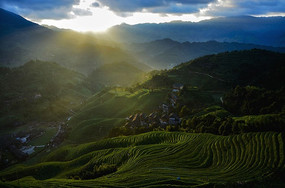 ������ϼ