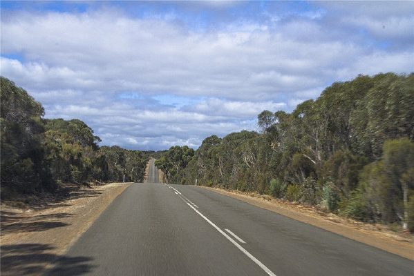 ������Ȼ���