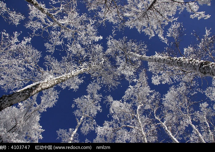 �̿�����ͼƬ