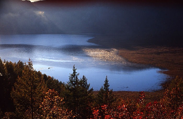 ��Ȼ����