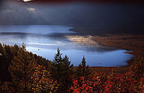 ��Ȼ����