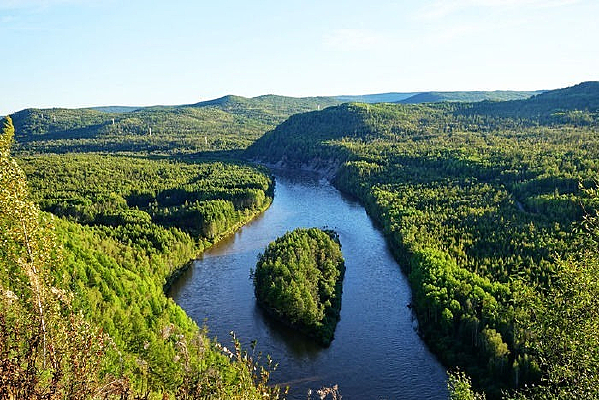 ��Խɭ�ֺ���