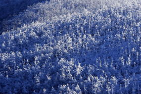 ���˰��붬��ɽ��