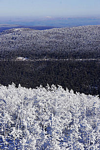 ���˰��붬��ɽ��