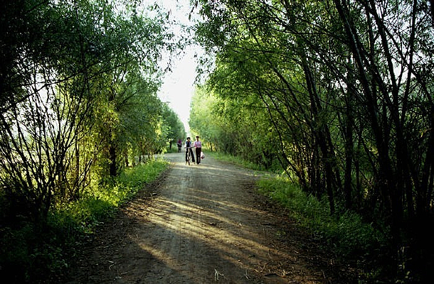 С�˰�������·