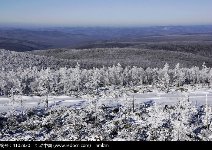 ���˰���֮ѩ��ͼƬ