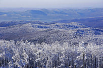 ����ѩ��