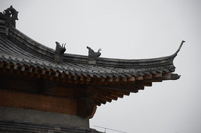 �¹Ž���һ��