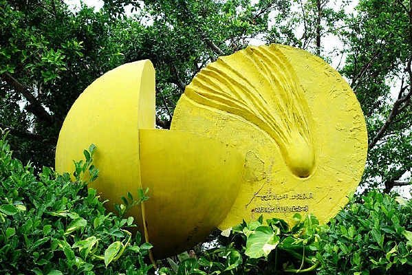 �����׹�