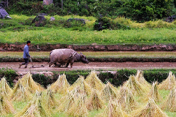 ������԰���