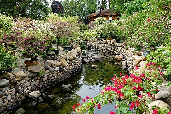 ���ϾƵ�԰��