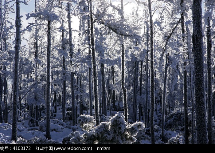 �ֺ�ѩԭ��ѩ���ͼƬ