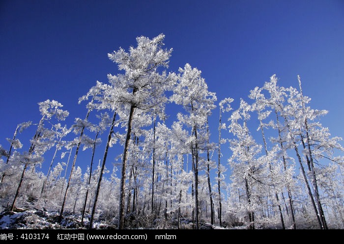 �ֺ�ѩԭ�������ͼƬ