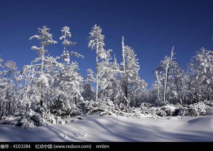 �ֺ�ѩԭ�������ͼƬ