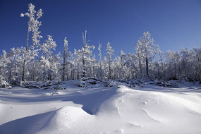 �ֺ�ѩԭ����