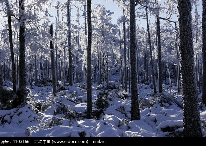 �ֺ�ѩԭ����ͼƬ