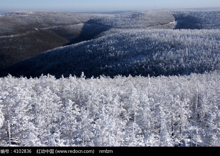 ãã�ֺ�ѩ��ͼƬ