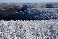 ãã�ֺ�ѩ��